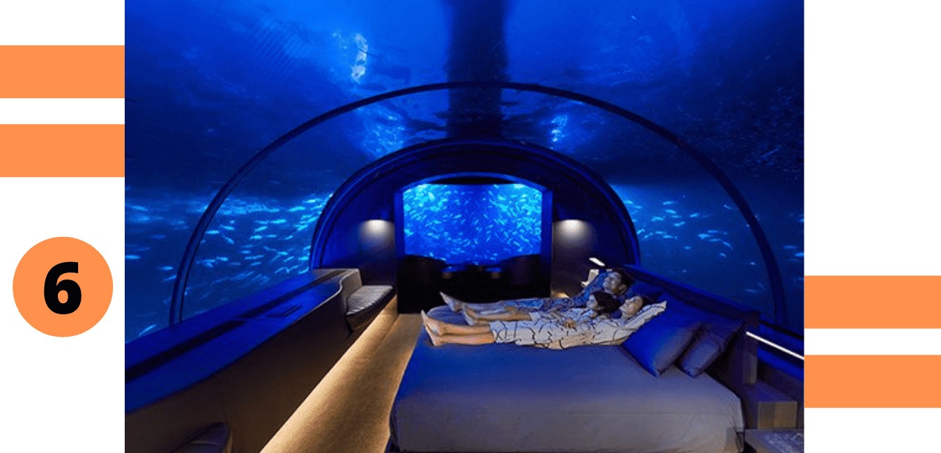 The biography pen The Muraka Suite- the Conrad