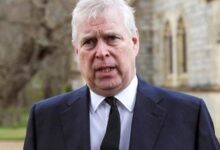 Prince Andrew Gives Up Military Titles, Patronages: Palace